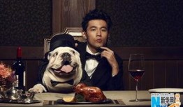 周杰伦最新专辑爆料视频,穿越时空的音乐之旅