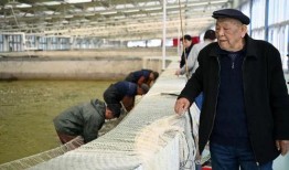 天津水产爆料事件最新,揭露海鲜市场惊人内幕，食品安全再引关注